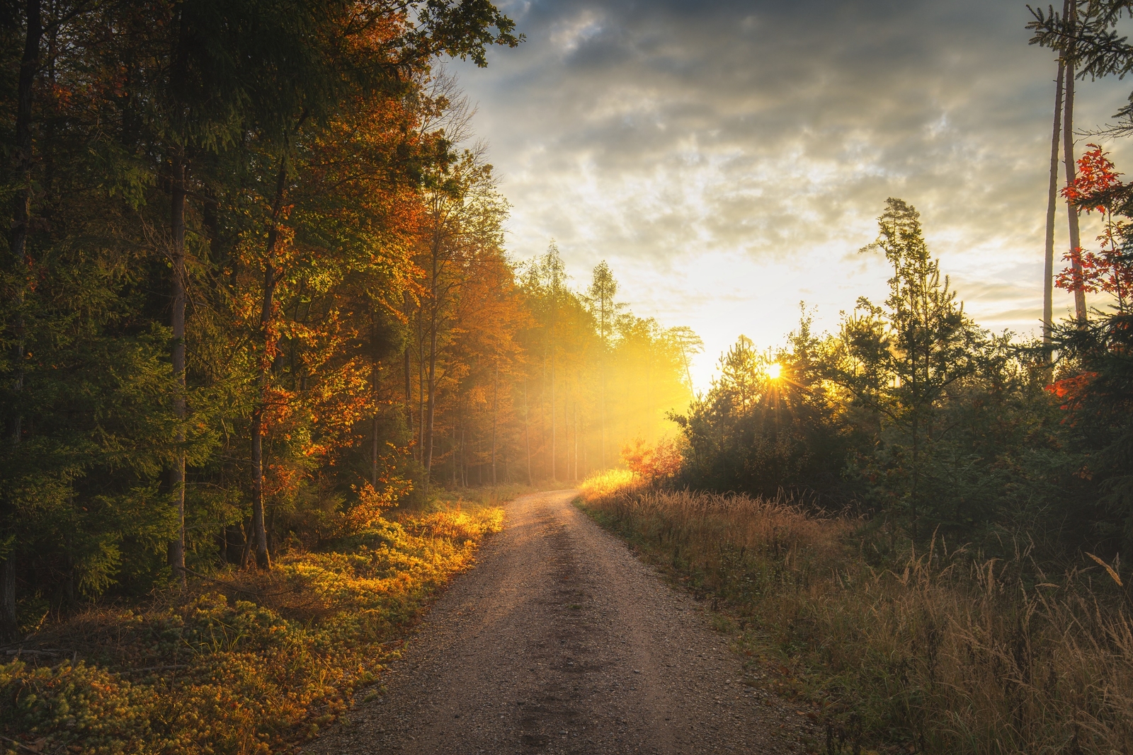 Landscape fall outdoors sunlight dirt road Custom Gaming Mat Desk