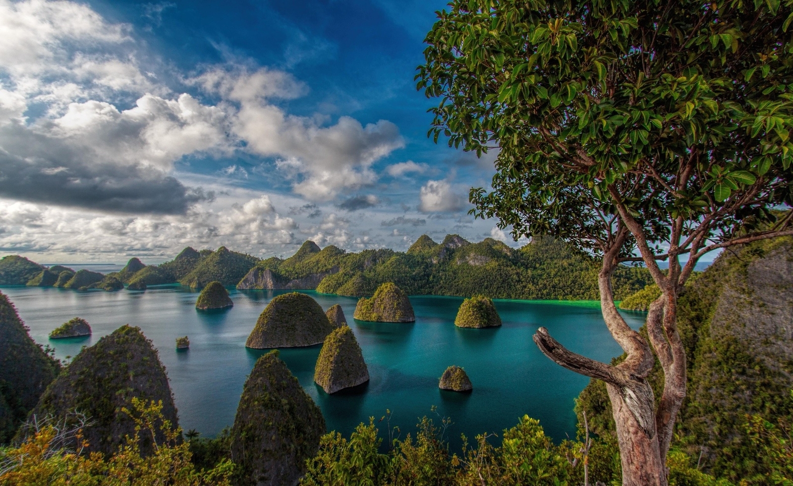 Landscape mountains clouds forest tropical raja ampat Custom Gaming Mat Desk