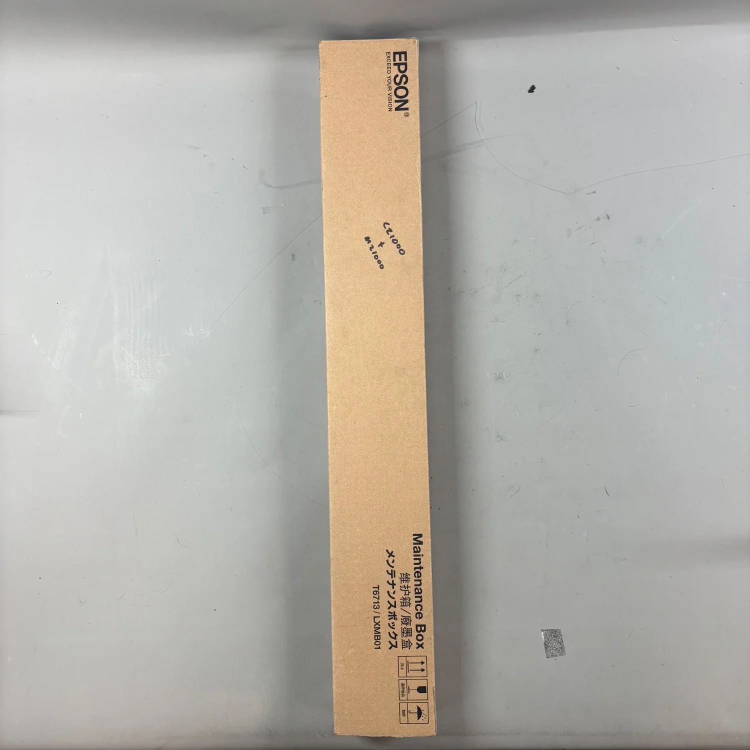 Epson T6713/LXMB01 Maintenance Box