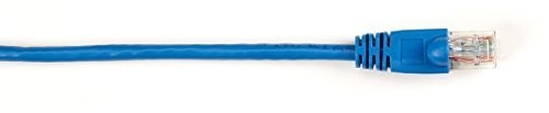 Black Box CAT6PC006BL_25 6ft Ethernet Patch Cable Blue M-M