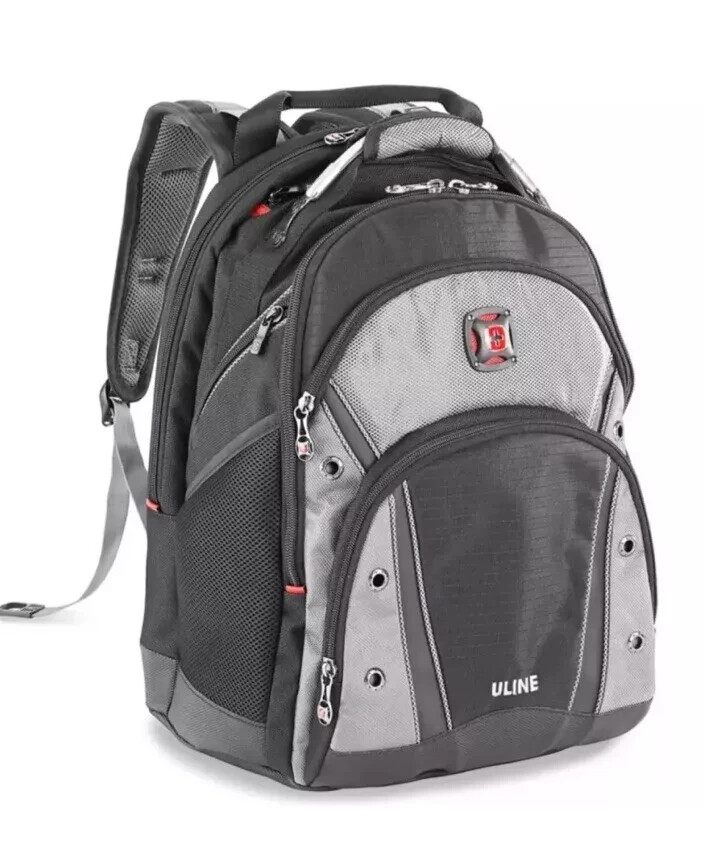 SwissGear Wenger Synergy Pro Backpack