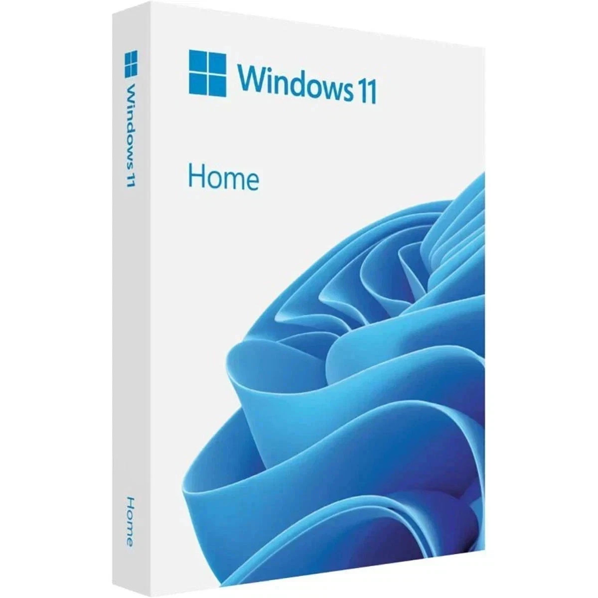Microsoft Windows 11 Home + USB Flash Drive English 64-bit Physical English
