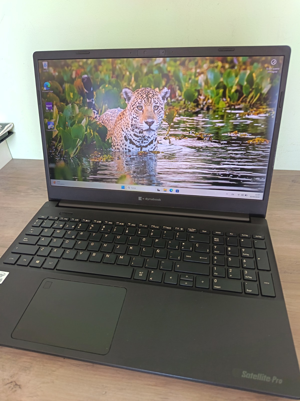 Toshiba Dynabook Satellite Pro L50