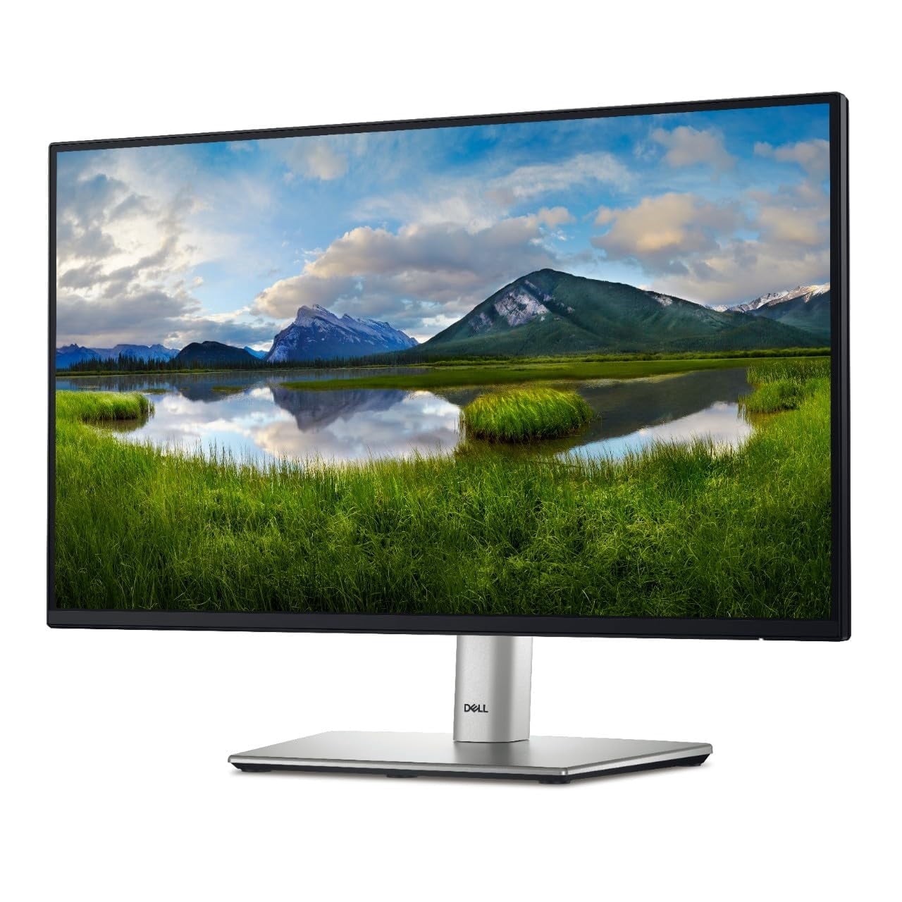OB*Dell Pro E2425HM 24 IPS Full HD 100Hz Monitor