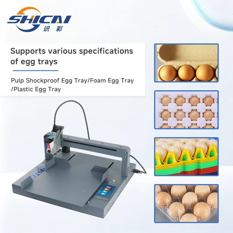 Fully Automatic Egg Inkjet Printer Date Coding Marking Machine