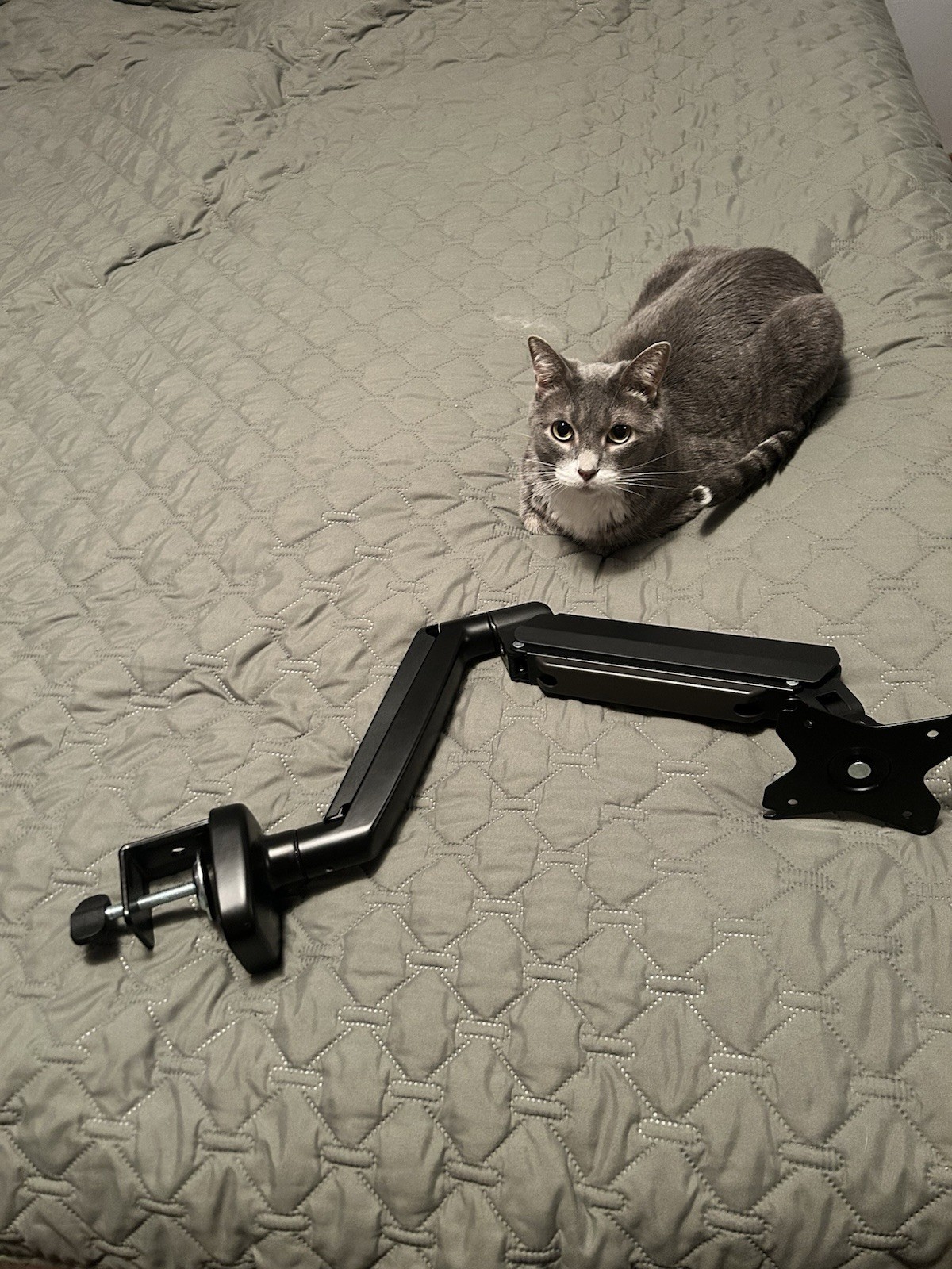 J5 Create Single Monitor Arm *FREE SAME/NEXT DAY SHIPPING*