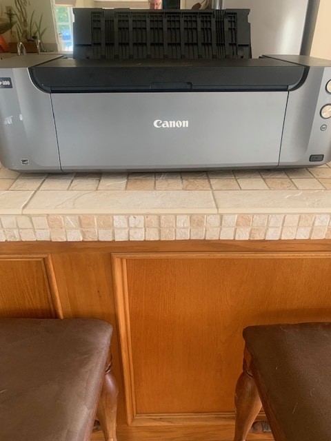 Canon PIXMA PRO-100 Inkjet Color Photo Printer (PARTS OR REPAIR)