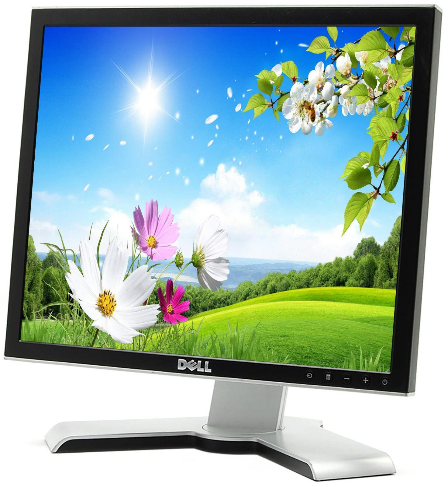 Dell 19" LCD Monitor for Desktop Computer PC- Working Grade A - QUICK SHIPPING