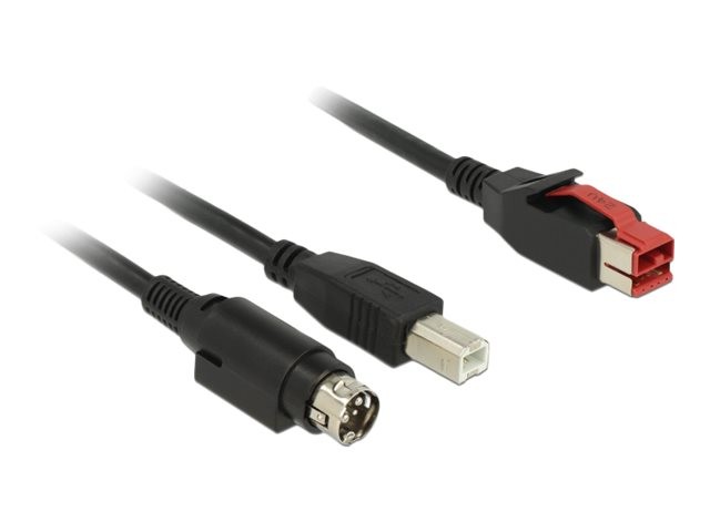 Delock Powered USB - USB Cable PlusPower 24V Digital/Data Cable 3m USB 85489