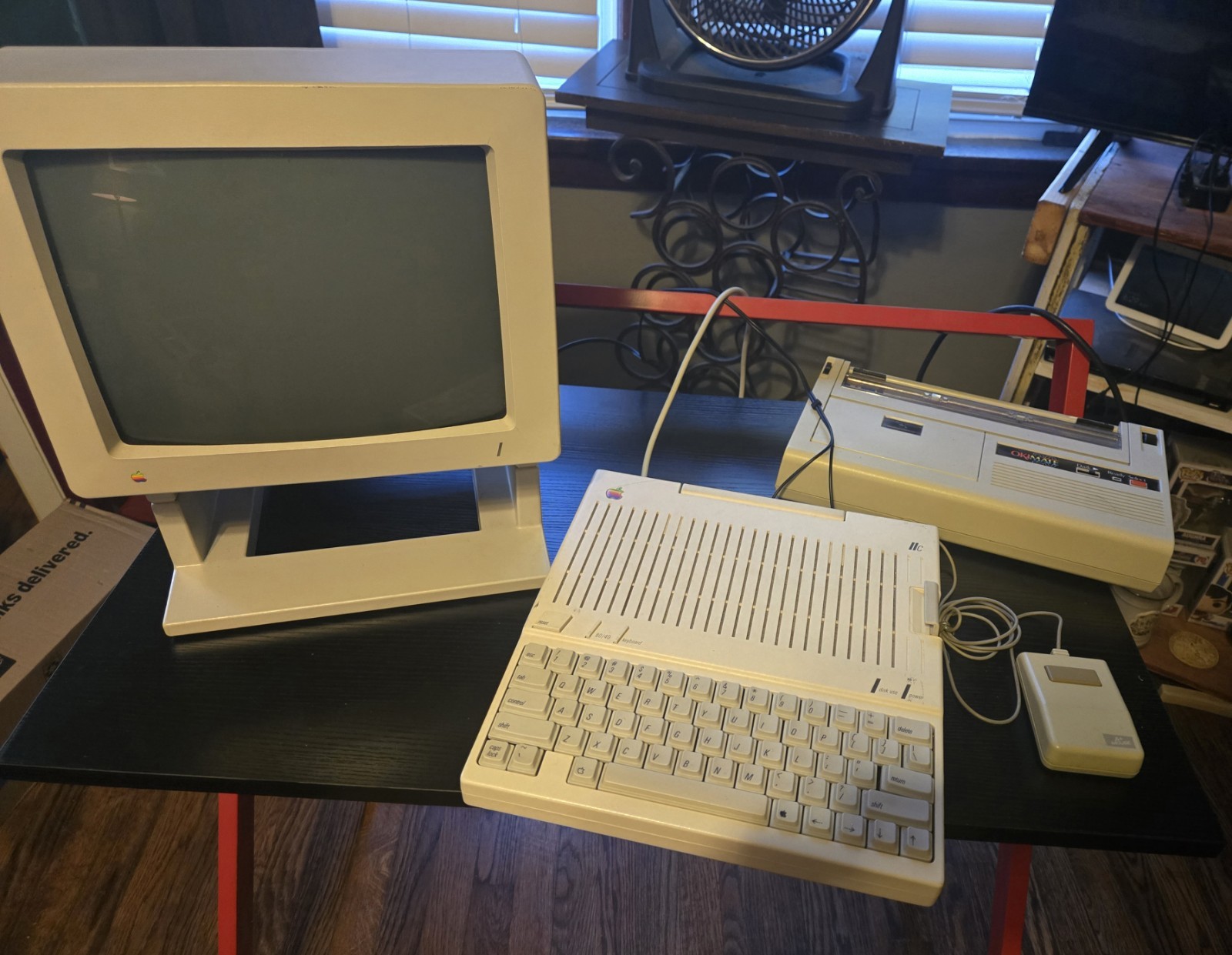 Vintage Apple IIc With Okidata Printer and Software