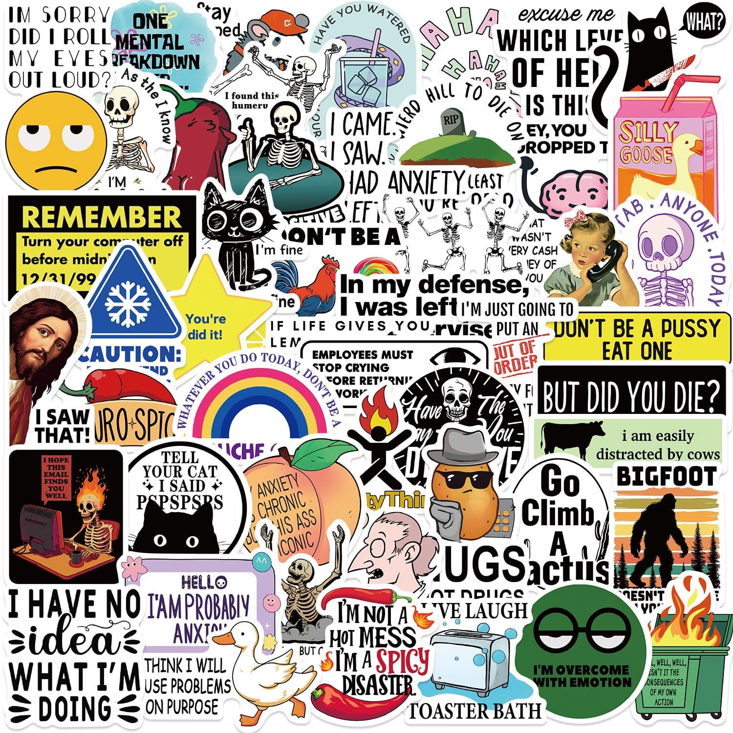 Funny Adult Meme Stickers Bulk 50 PCS Snarky Prank Laptop Decals