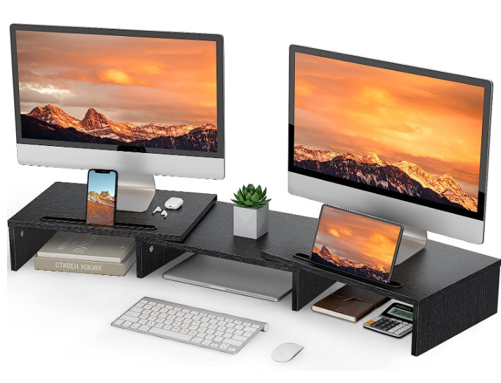 LORYERGO Dual Monitor Stand for 2 Monitors LEMS02