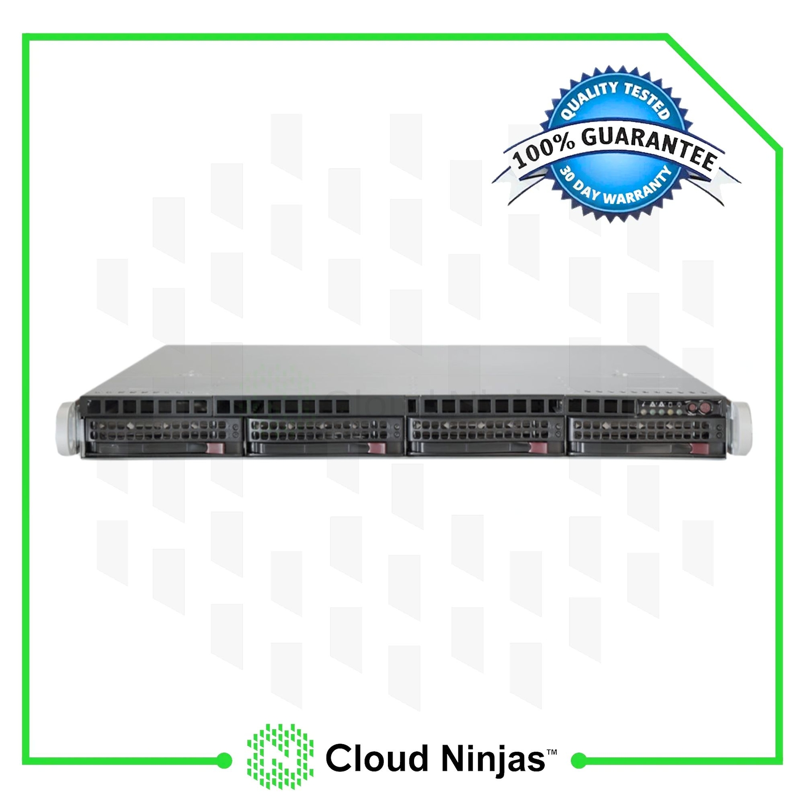 Cloud Ninjas ARA-4LS 1U 4 Bay Server AMD Ryzen 9 9900x 12 Core 64GB ECC NVMe M.2