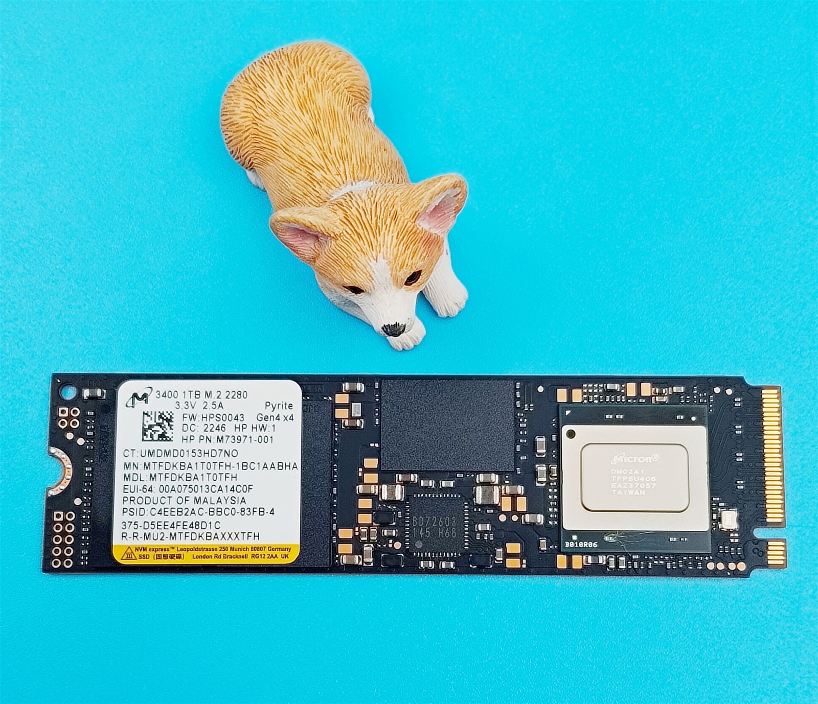 HPE 1TB NVMe PCIe M.2 2280 Solid State Drive SSD M73971-001