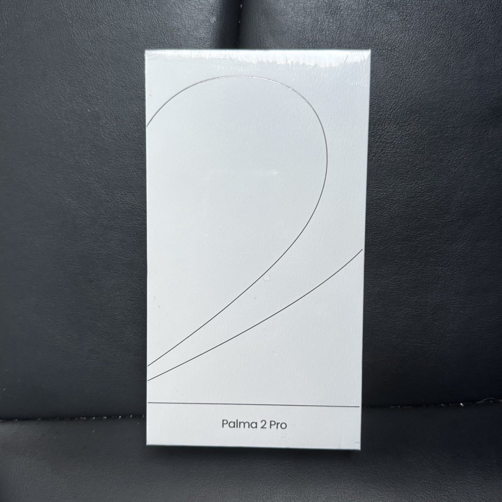 BOOX Palma 2 Pro (White): 6.13''Color ePaper| Sim Card| Note-Taking |Rear Camera