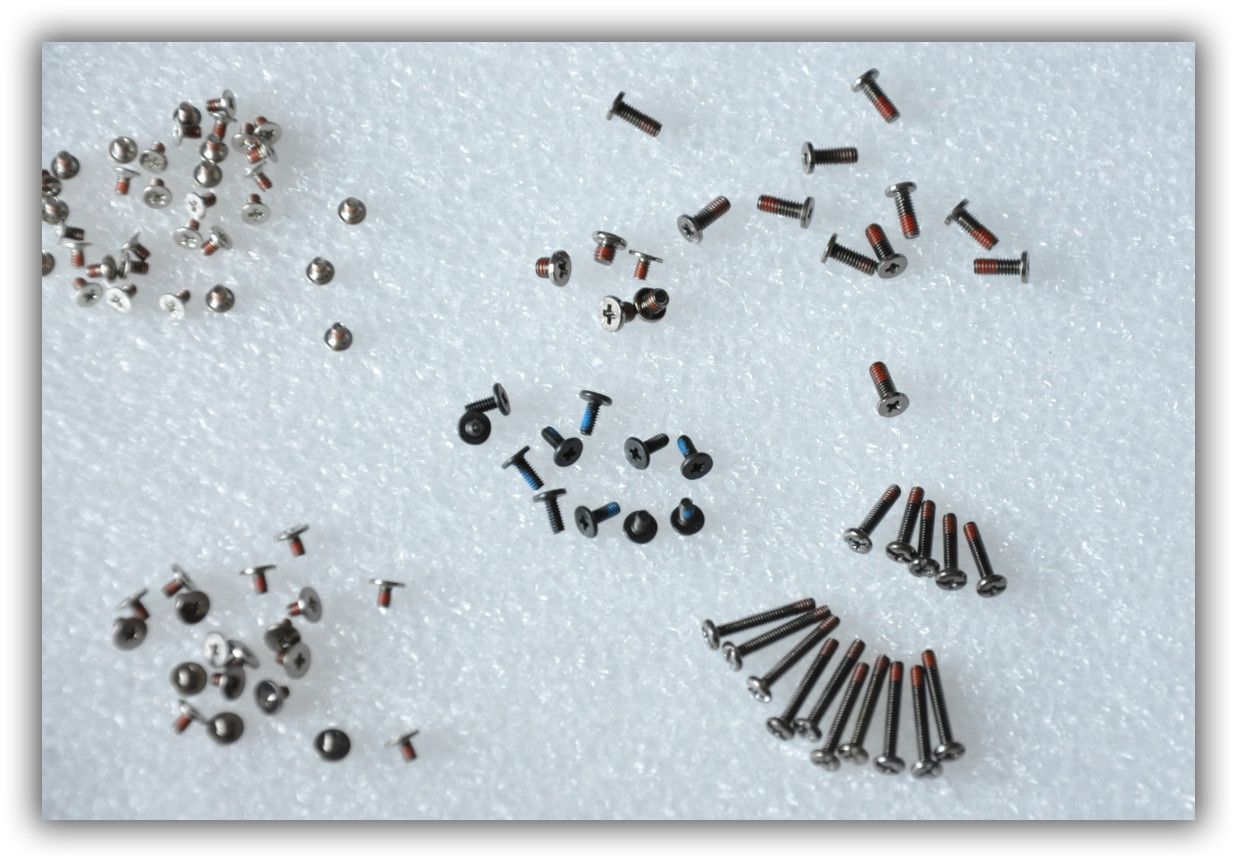 IBM/Lenovo Thinkpad R500/T500 completed Screws Set fast shipping USA