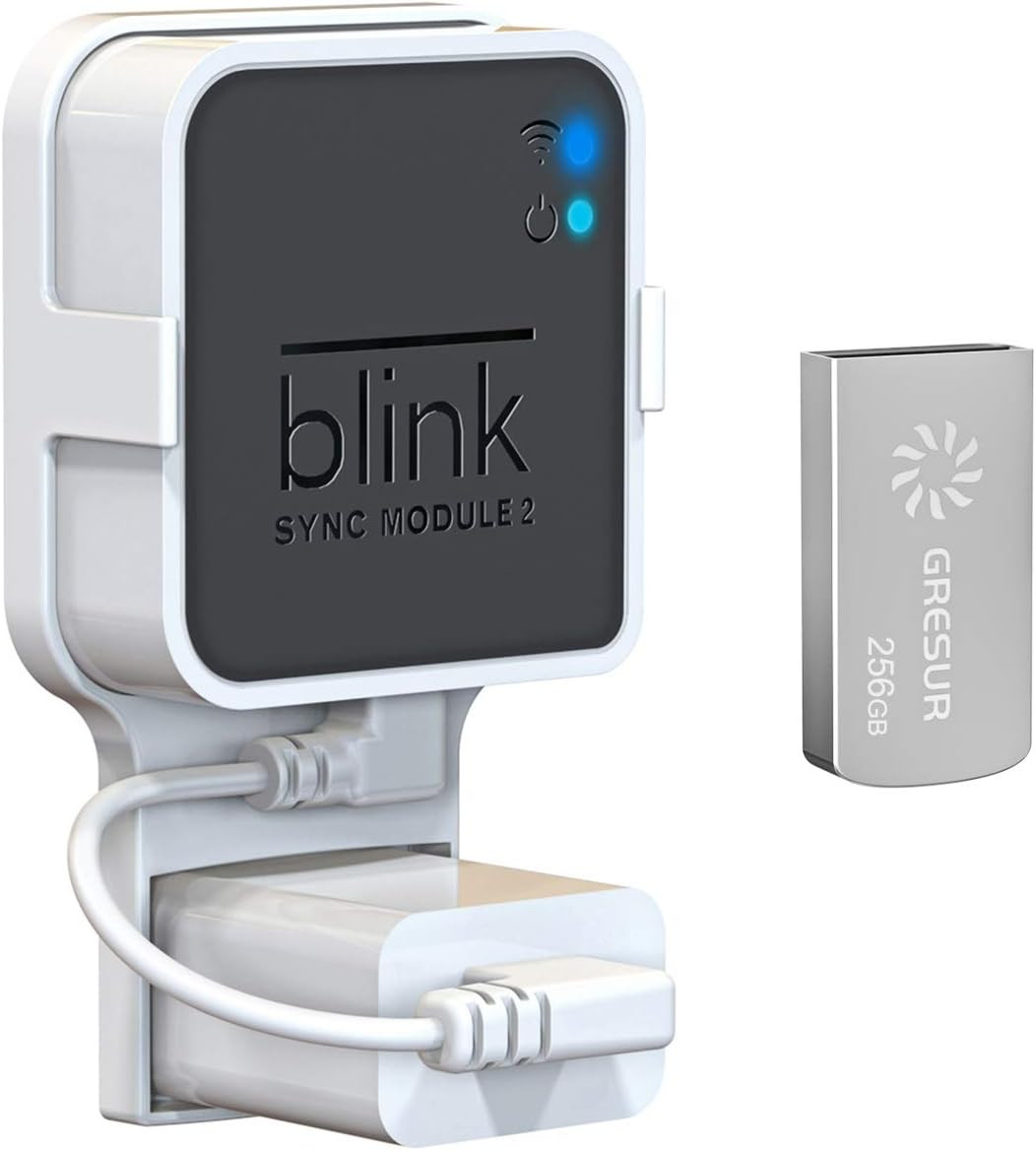 256GB USB Flash Drive for Blink Sync Module 2 with Outlet Wall Mount(1Pack) | Lo