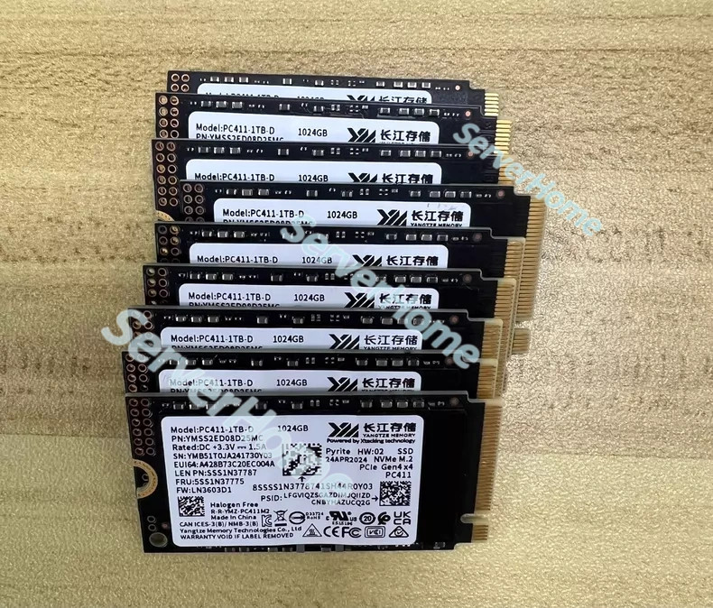 1TB Yangtze Memory PC411 M.2 2242 PCIe4.0 NVMe SSD