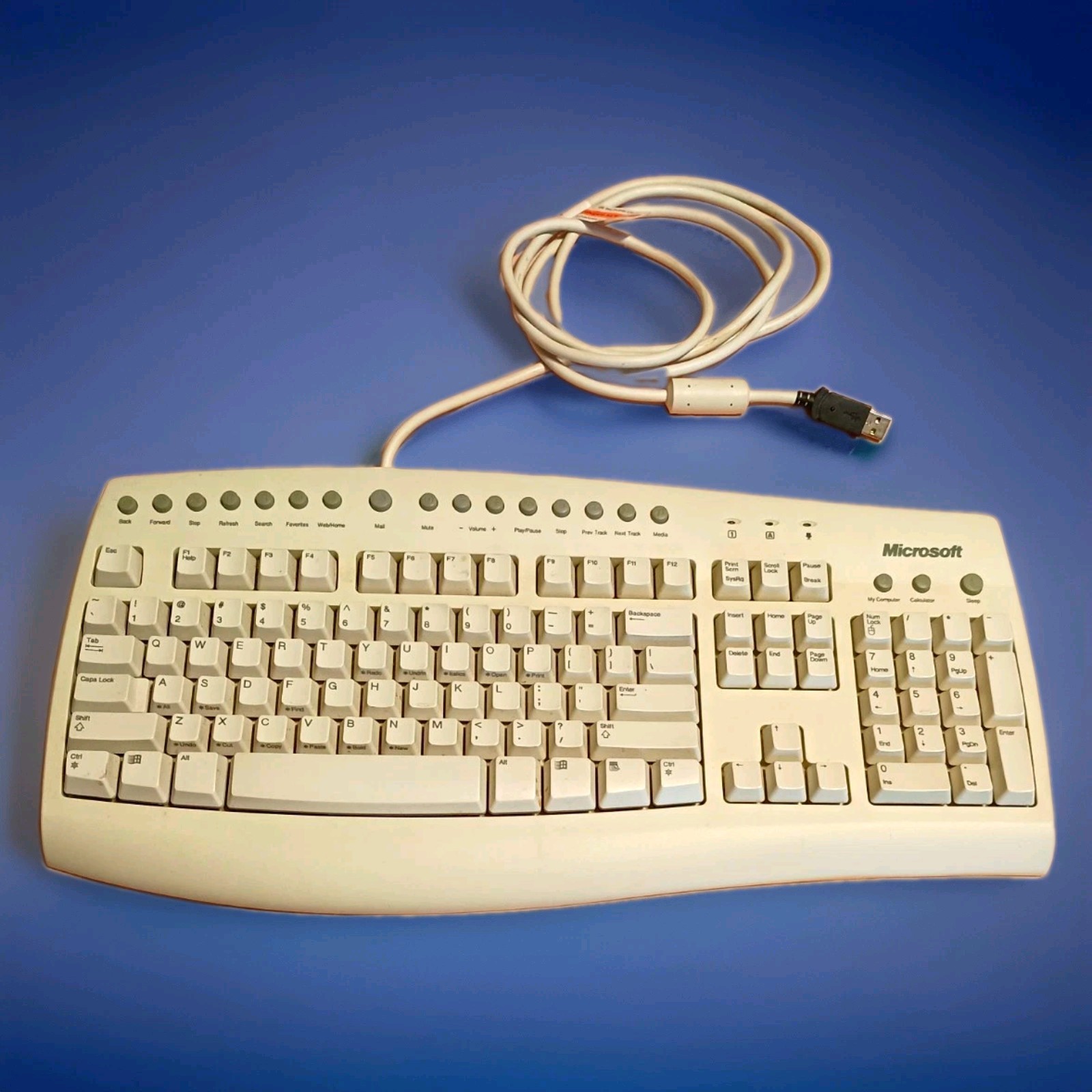 Microsoft Internet Keyboard Pro RT9421 USB Hub Wired Vintage White Multimedia
