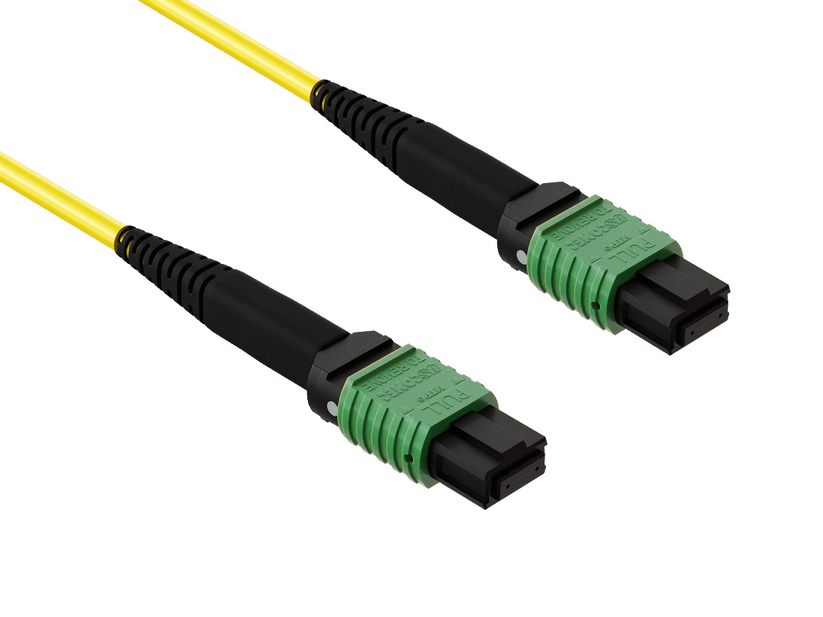 10m MTP MPO Trunk Fiber Cable OS2 12 Fiber Single Mode Type A APC Plenum
