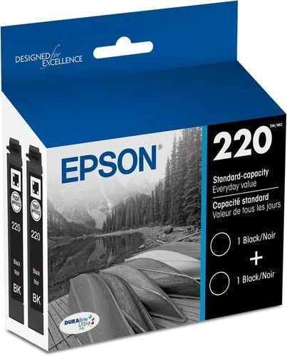 Epson - 220 2-Pack Standard Capacity - Ink Cartridges - Black