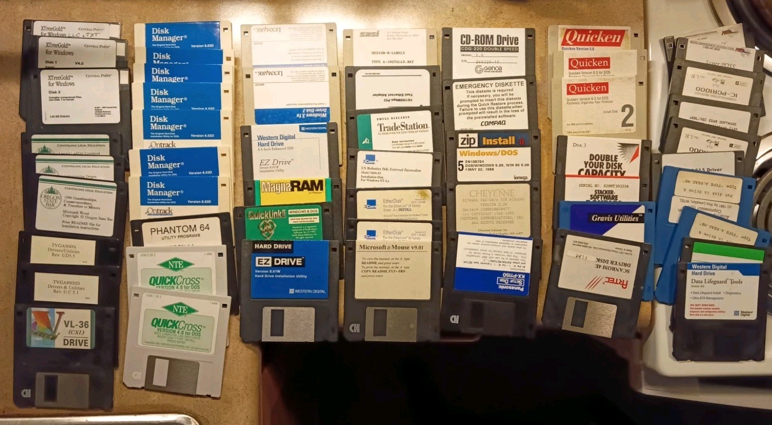 Lot of 25 Programs Vintage Pc Computer 3.5" 1.44 MB Floppy Disks Vintage Case