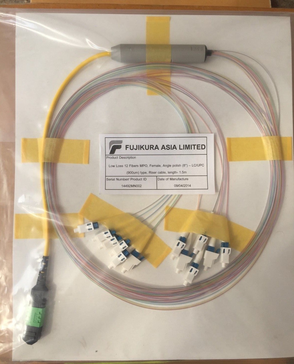 FUJIKURA 12 Fibers MPO, Female (8°) - LC/UPC 900um, Riser cable 1.5M, Low Loss