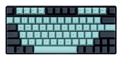 REALFORCE RC1 Keyboard Compatible Keycap Set Type Key Rust Celadon Finish