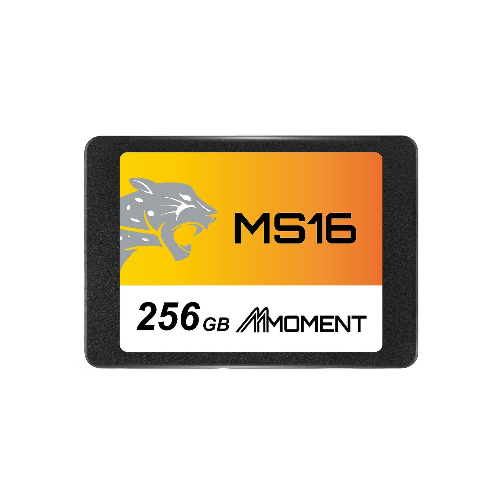 MMOMENT MS16 256GB 2.5-Inch SATA III SSD, 550MB/s Read, 500MB/s Write | Pract...