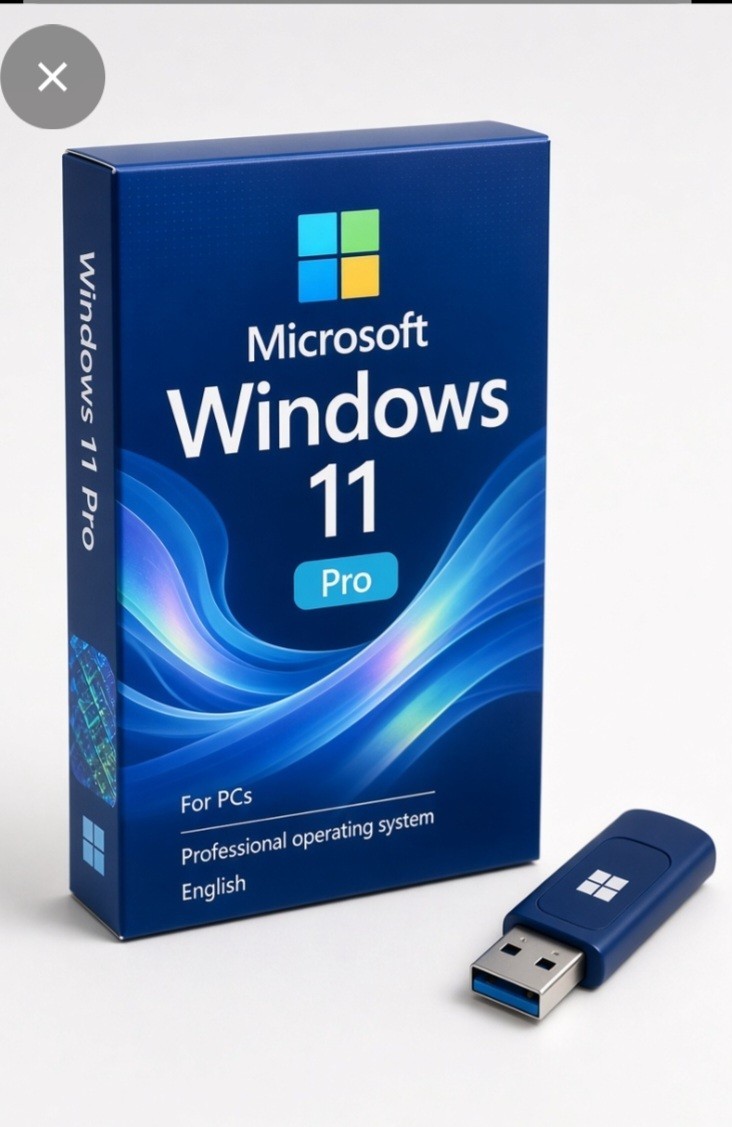 Microsoft Windows 11 Pro 64-Bit Usb Drive with Product Key