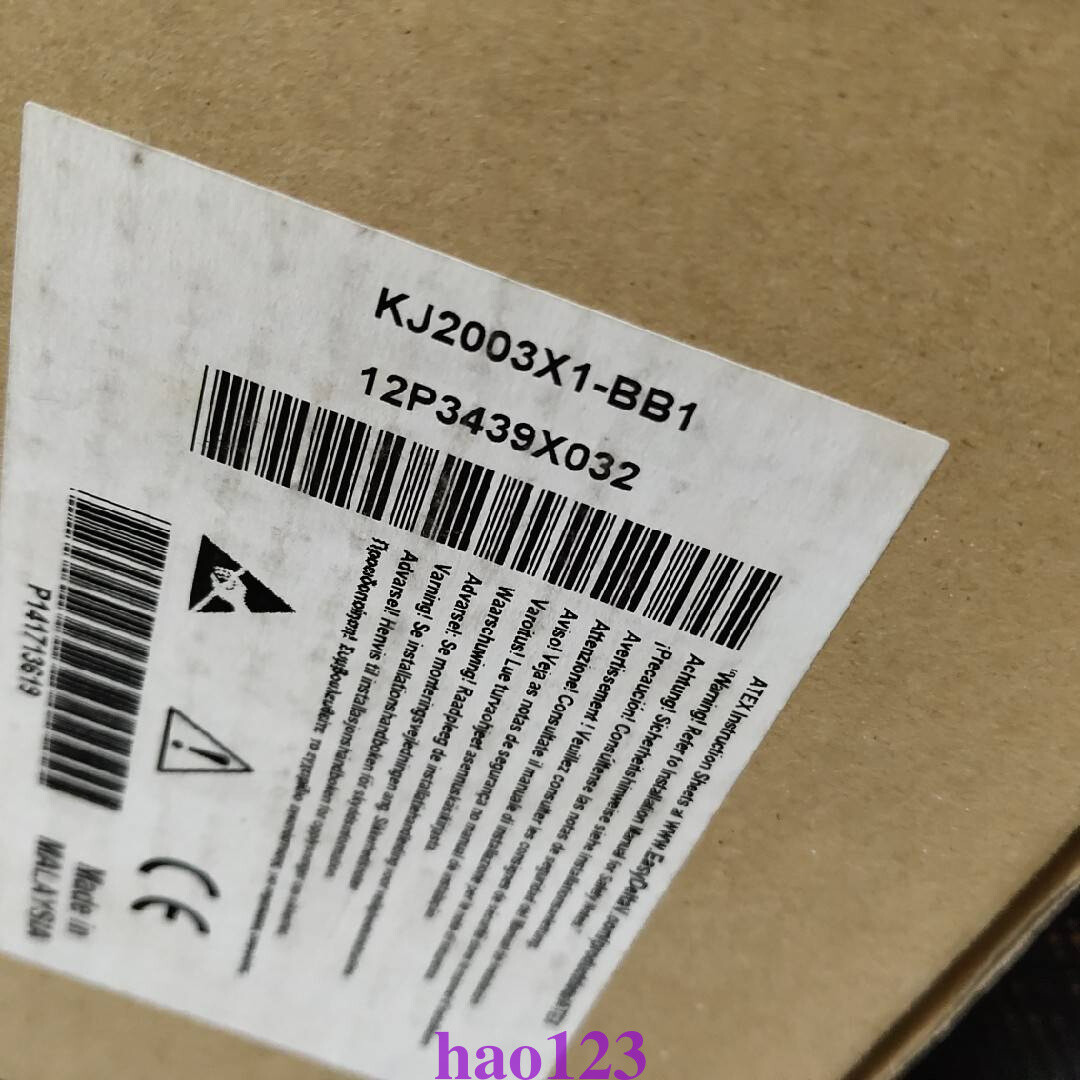 VE3006 KJ2003X1-BB1 Emerson DELTAV system module New in box By DHL or FedEx