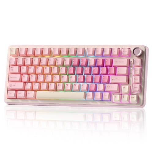 75% Mechanical Keyboard, Hot Swappable, RGB Backlit, Wireless Gaming Input