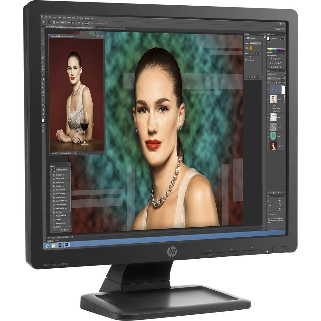 Hp 19-inch Monitor 1280 x 1024 LCD ProDisplay P19A