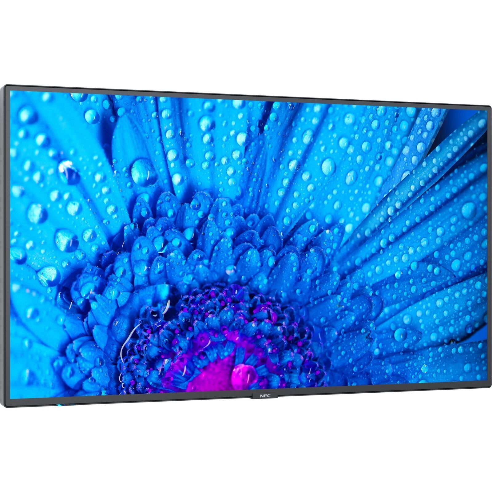 NEC MultiSync M491 / LCD 49" Ultra High Definition Professional Display