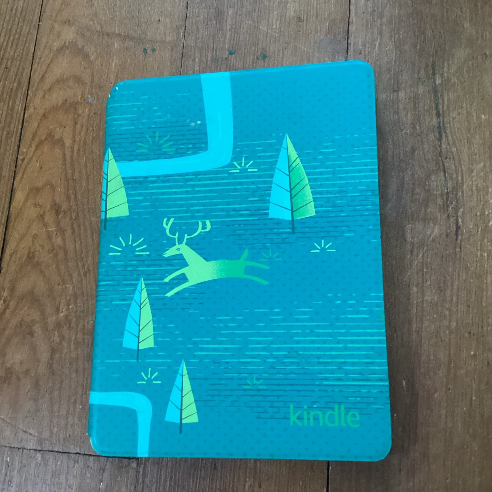 Amazon Kindle eBook Reader with Blue/Green Case for Kids