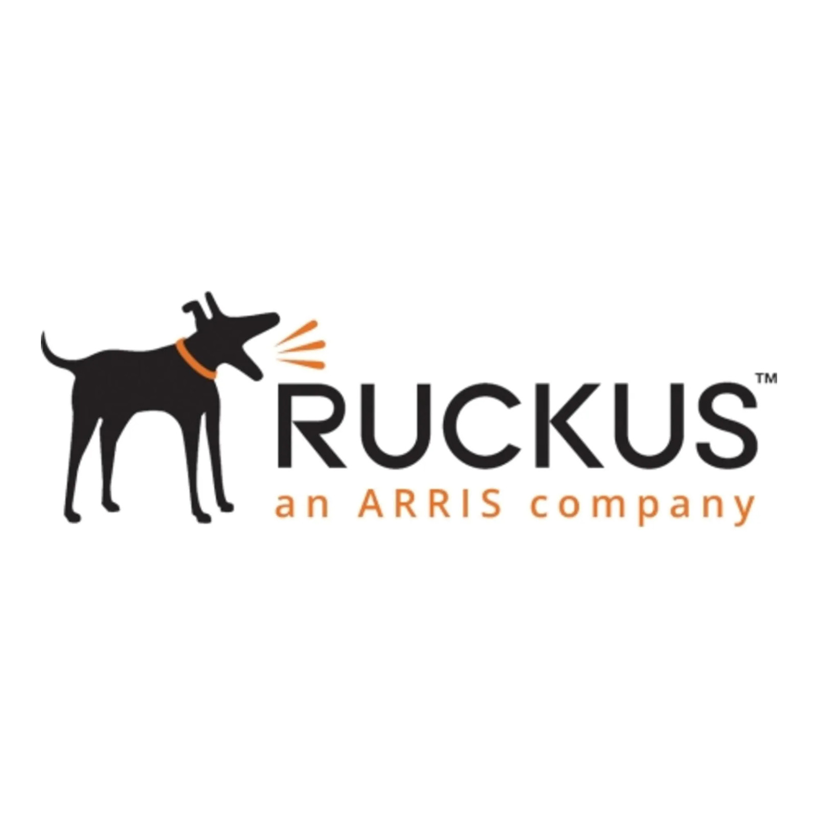 Ruckus 9U1-R550-US00 RUCKUS UNLEASHED R550 DUAL-BAND 802.11ABGN/AC/AX WIRELESS