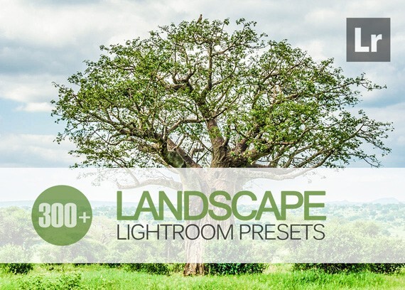 302 Landscape Lightroom Presets Contemporary Classic & Vintage Styles Modern