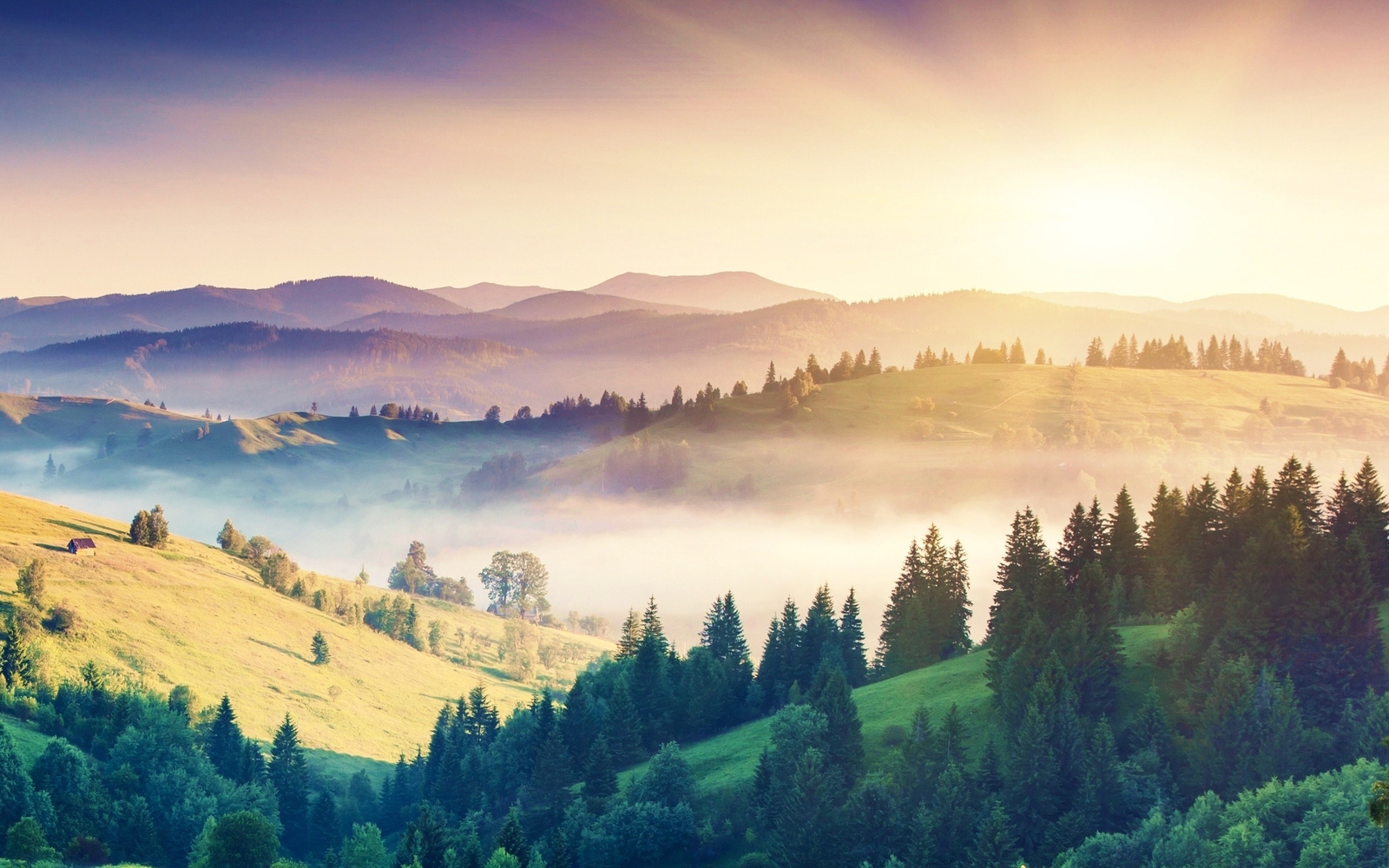 Landscape mist trees forest mountains Custom Gaming Mat Desk