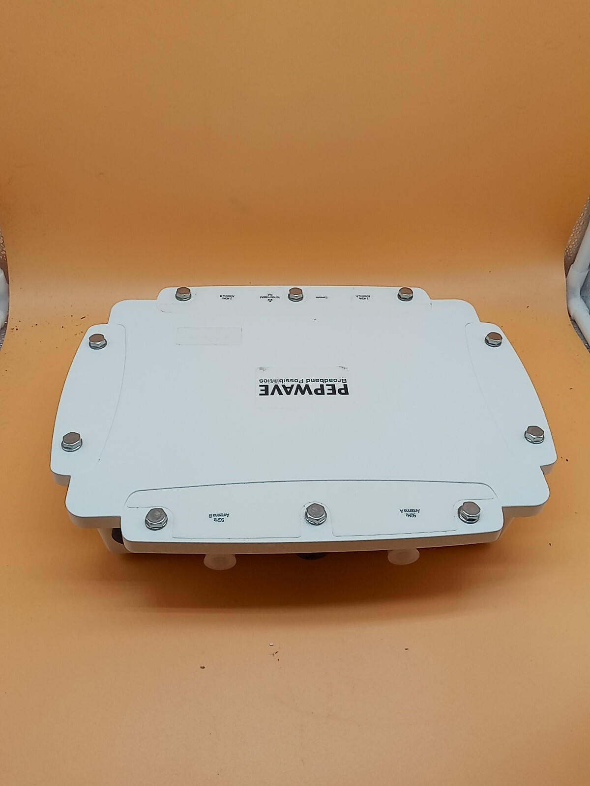 Pepwave AP Pro Outdoor Wi-Fi that Goes the Distance AAP-AGN2