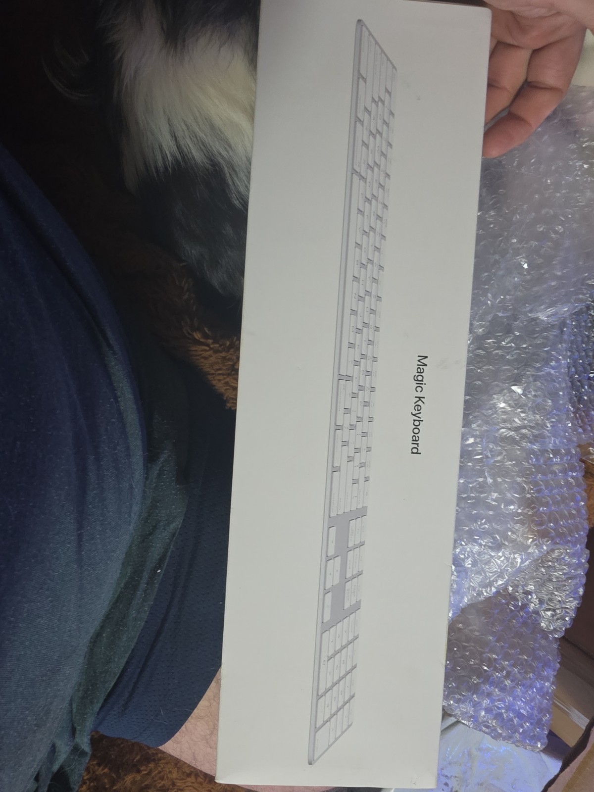 Apple Magic Keyboard with Numeric Keypad Silver MQ052LL/A Model A1843