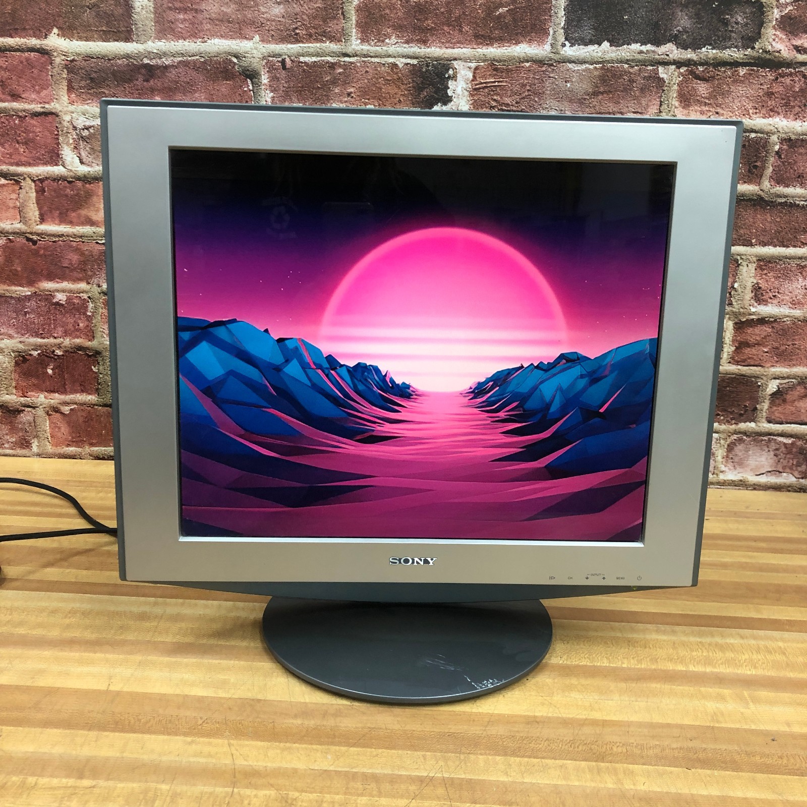 Sony SDM-HS94P 19" 5:4 LCD Computer Monitor VGA Retro PC Gaming 1280x1024 TESTED