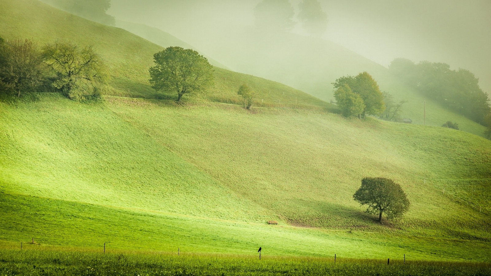Landscape nature hills trees austria grass field mist Custom Gaming Mat Desk