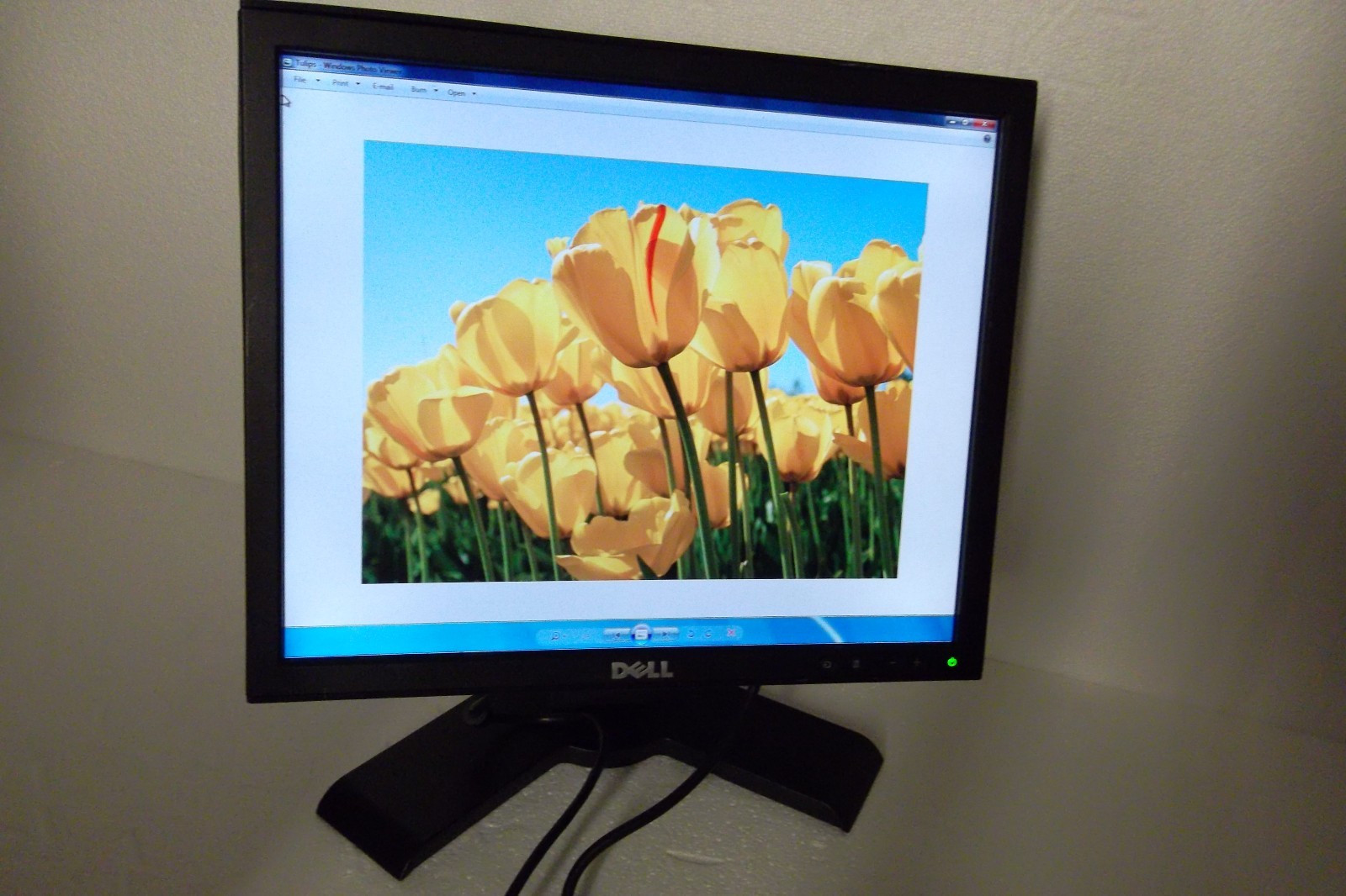 Dell P170S 1708FP LCD Monitor 17" BLACK USB Hub DVI VGA VMPX3 YVG53 TJKG1 D2TM2