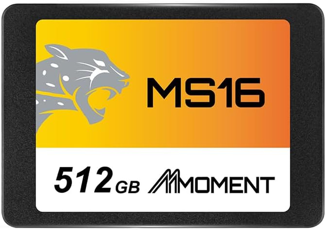 MS16 512GB 2.5 Inch SATA III 6 Gb/S Internal Solid State Drive SSD (Read up To