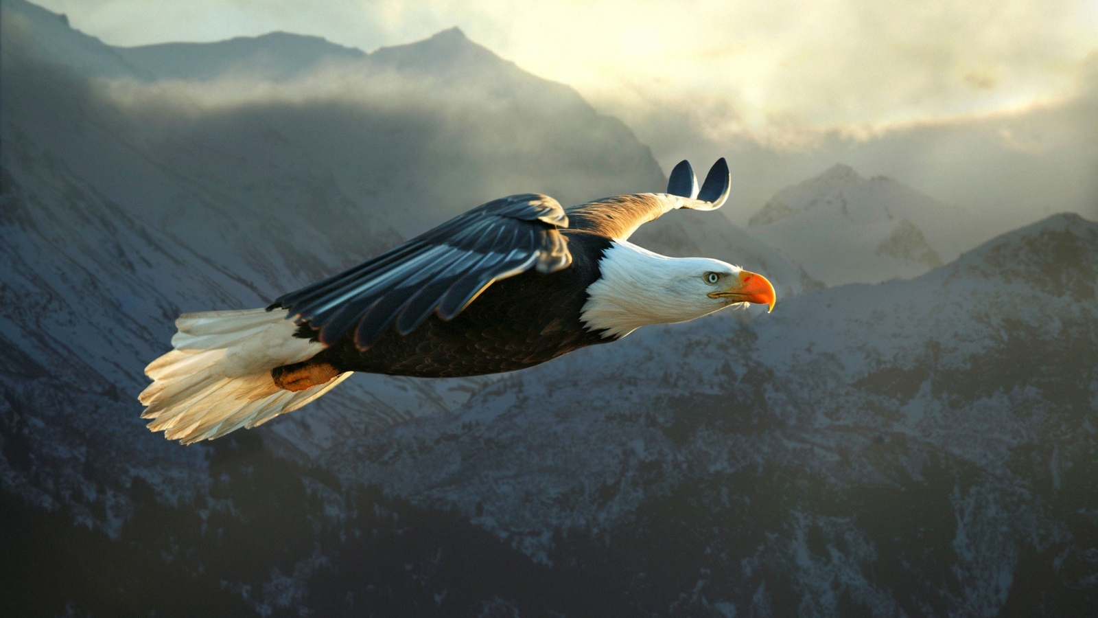 Landscape animals nature eagle bald birds wings Custom Gaming Mat Desk