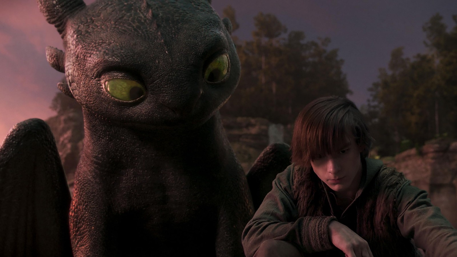 Universal Pictures Home Entertainment How to Train Your Dragon 2025 Collectors