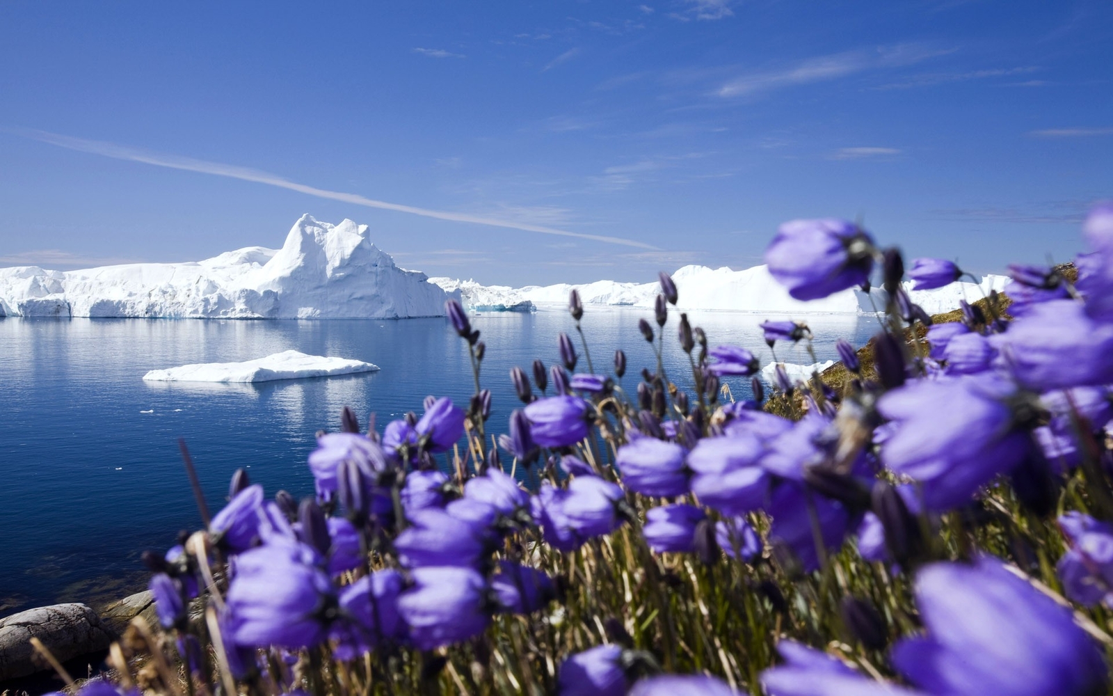 Landscape nordic s iceberg ice spring nature flowers Custom Gaming Mat Desk
