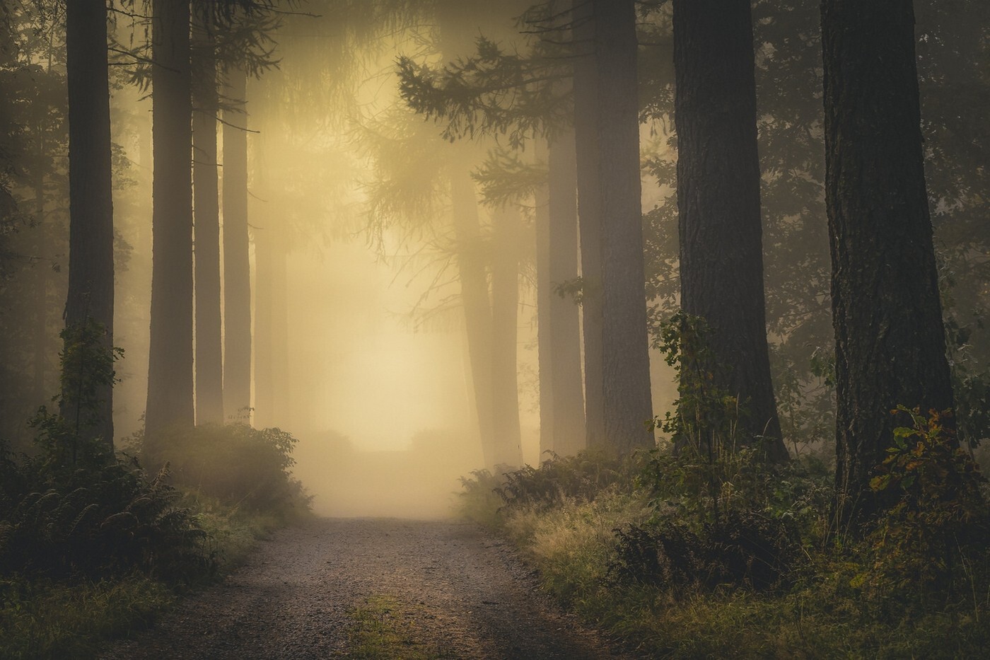 Landscape nature mist fall dirt road shrubs forest Custom Gaming Mat Desk