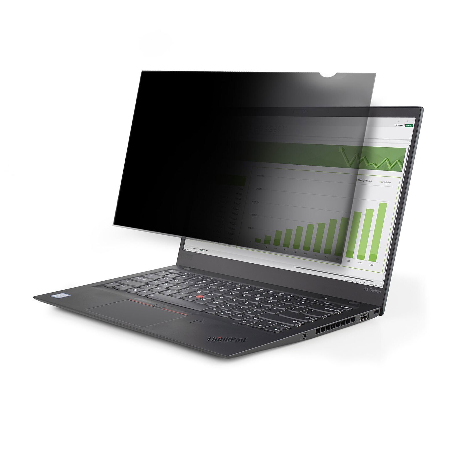 StarTech.com 17.3-inch Screen protector 173L-PRIVACY-SCREEN for 16:9 screen