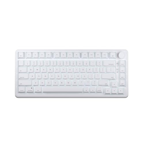 AIM1 Instant Rapid Trigger 0.01mm Gaming Keyboard English Layout 75% Size 8000Hz